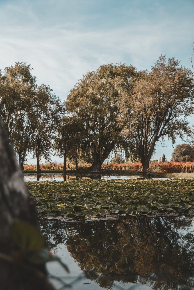 Mil hileras turismo 2