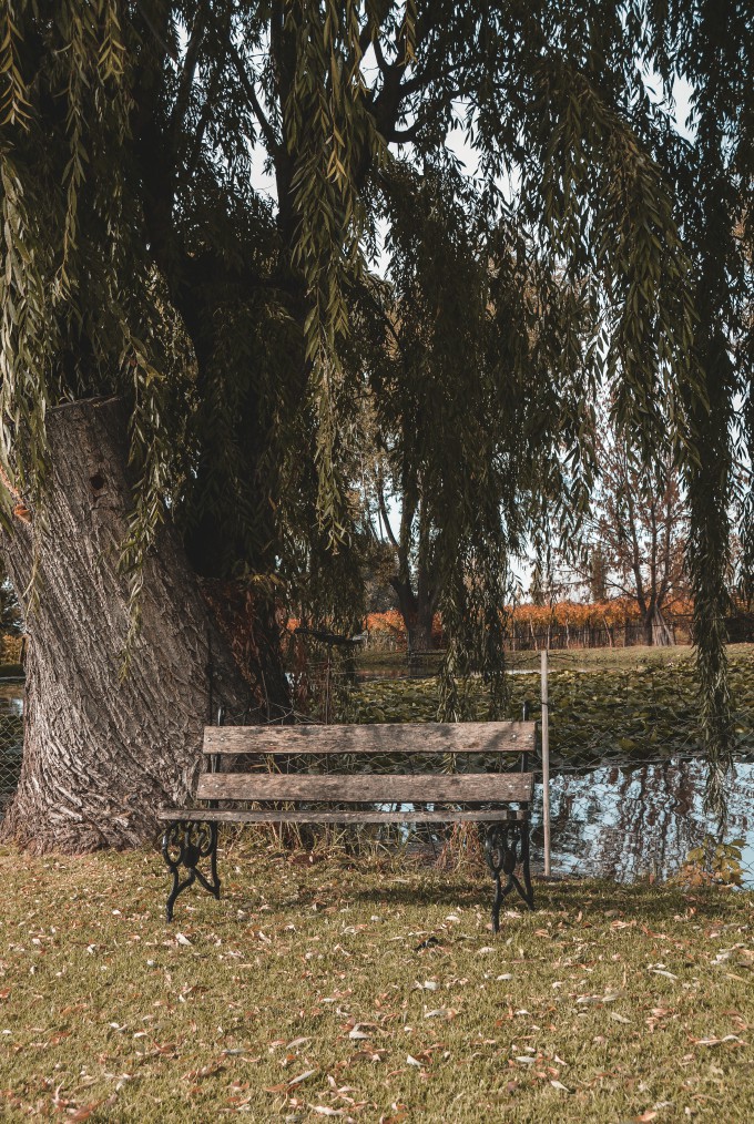 Mil hileras turismo 3