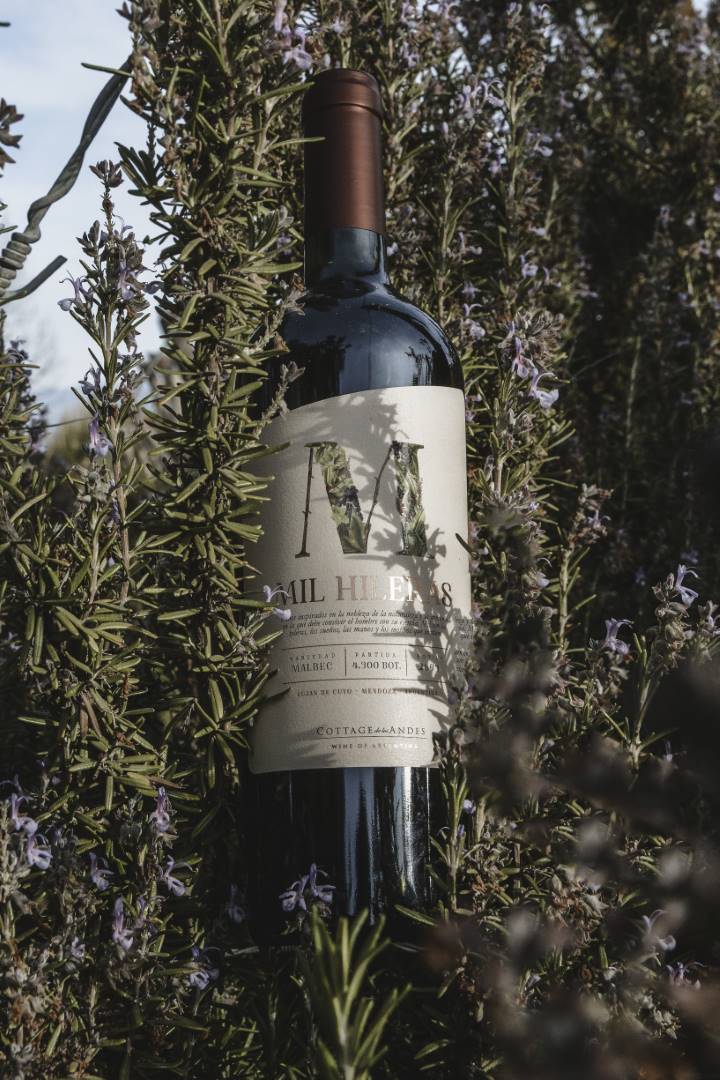 botella-mil-hileras (3)