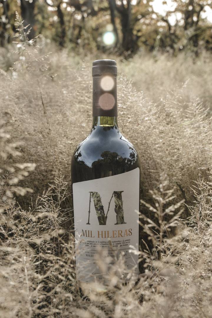 botella-mil-hileras (4)