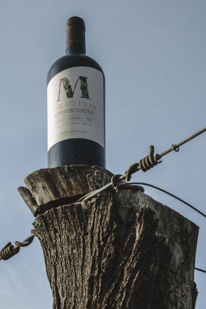 botella-mil-hileras