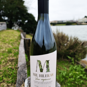 Mil Hileras Chenin orgánico - Caja x6u